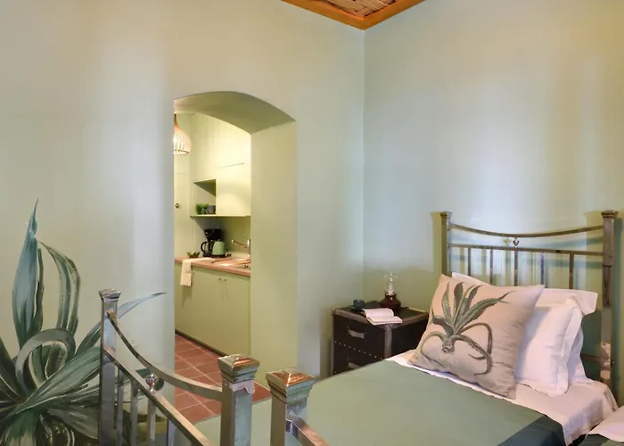 Cactus Hydra - Art Apartments