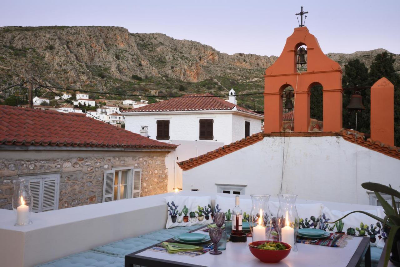 Cactus Hydra - Art Hotel
