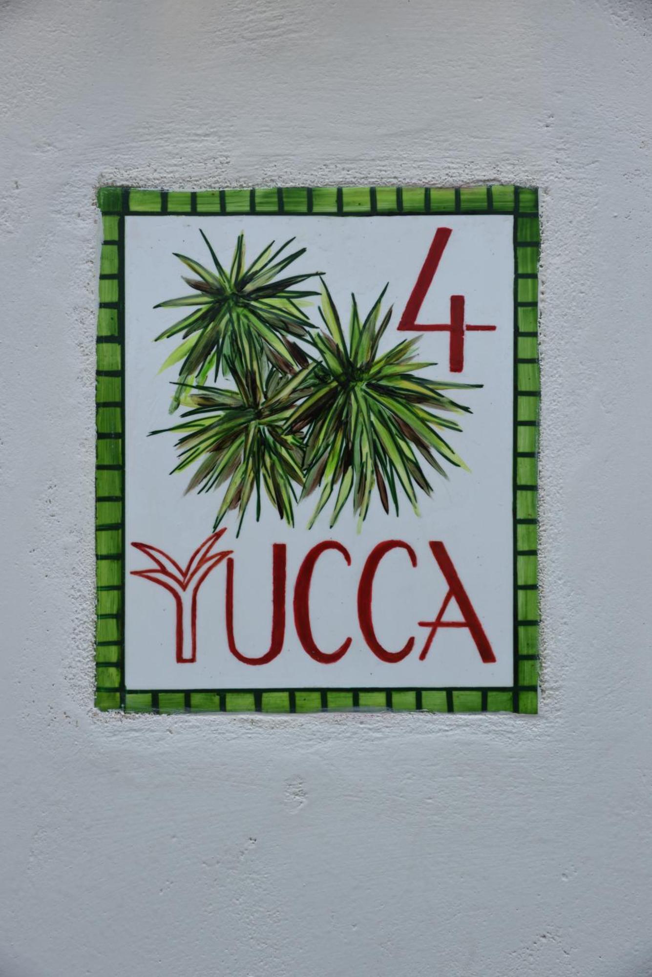 Cactus Hydra - Art Hotel Hidra