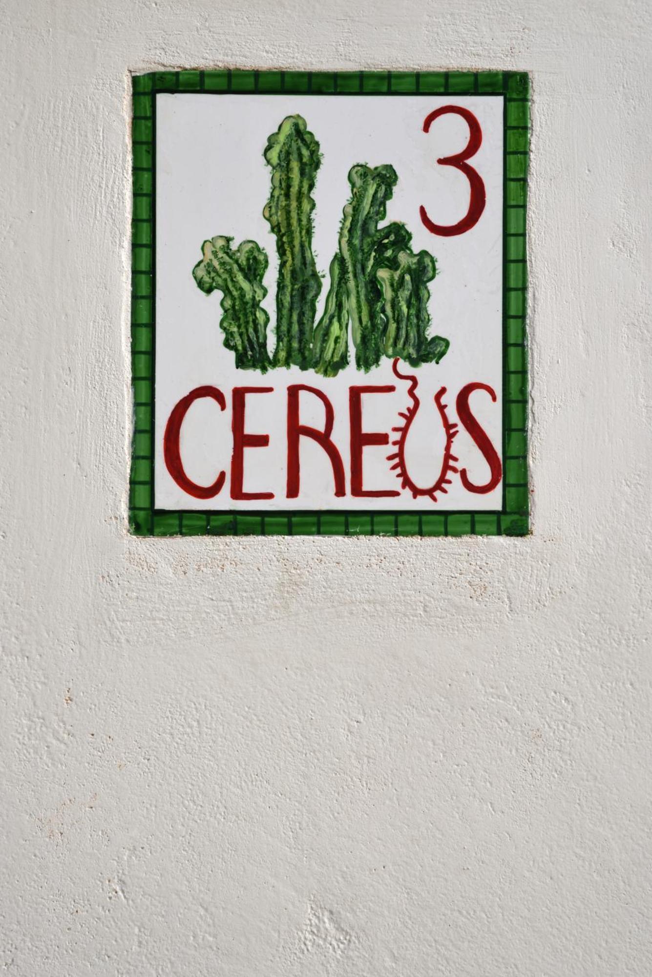 Cactus Hydra - Art Hotel *